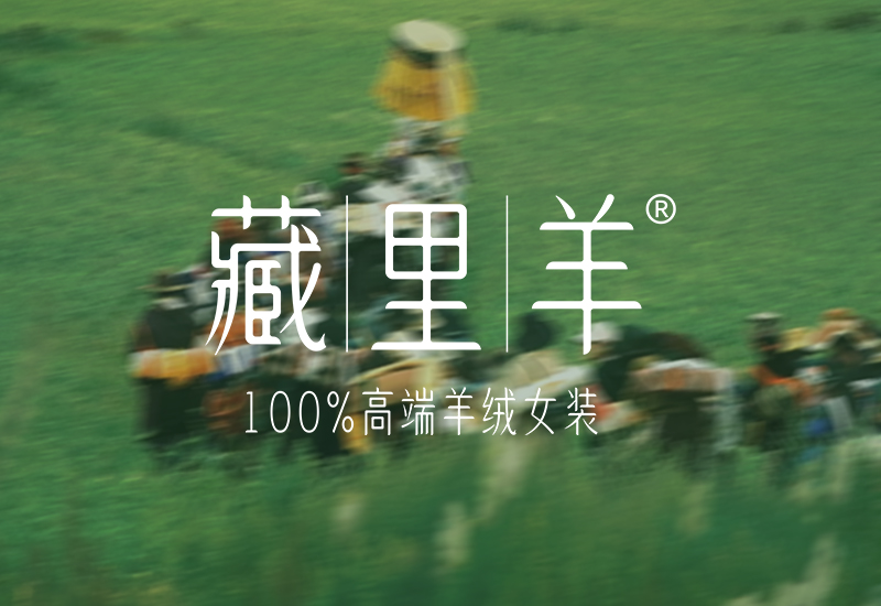 丰收之颂·藏里羊 | 大地恩赐的庆祝与传承