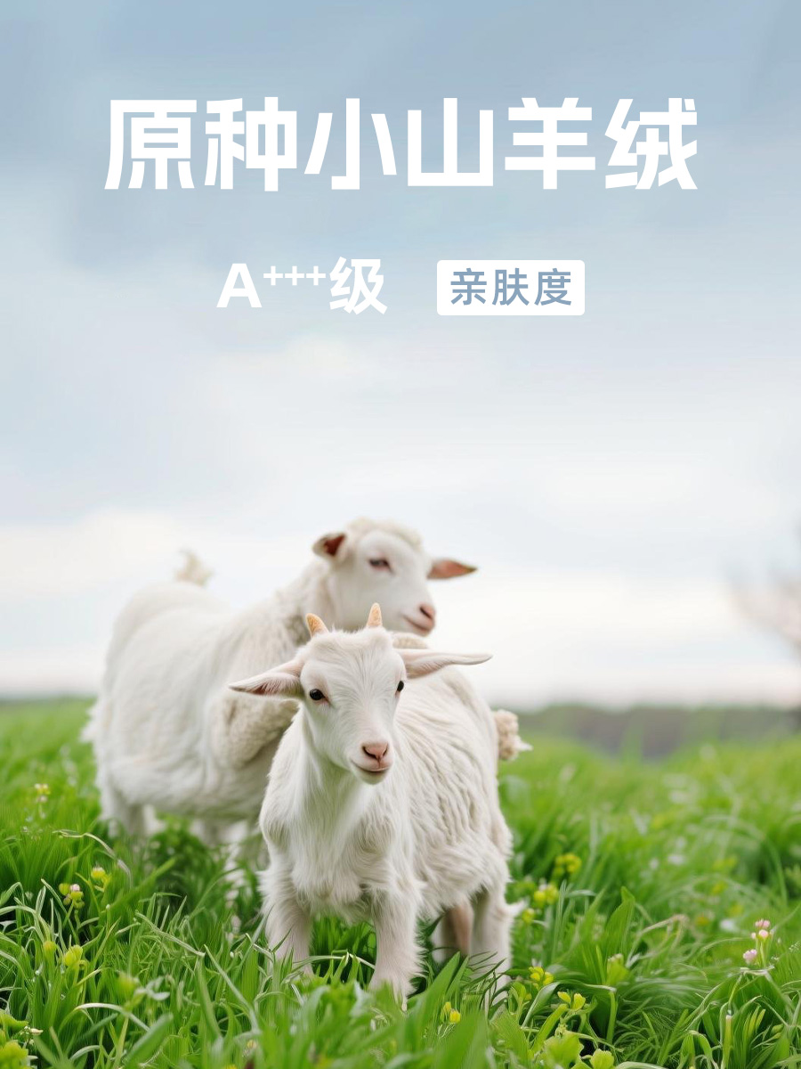 西藏小山羊绒